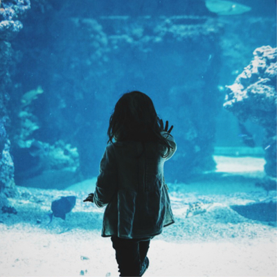 child looks into aquarium