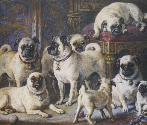 Victorian painting of pugs at play